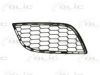 BLIC 6502-07-0105998P Ventilation Grille, bumper